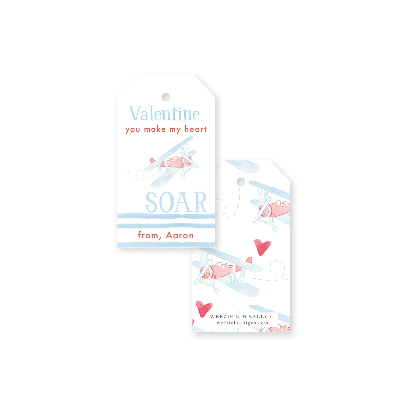 Heart Soars Biplane Valentine