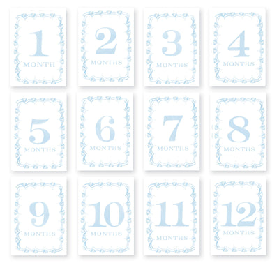 French Border Baby Milestone Cards