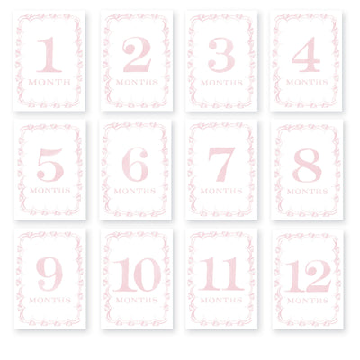 French Border Baby Milestone Cards