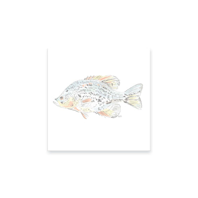 Watercolor Fish Notepad